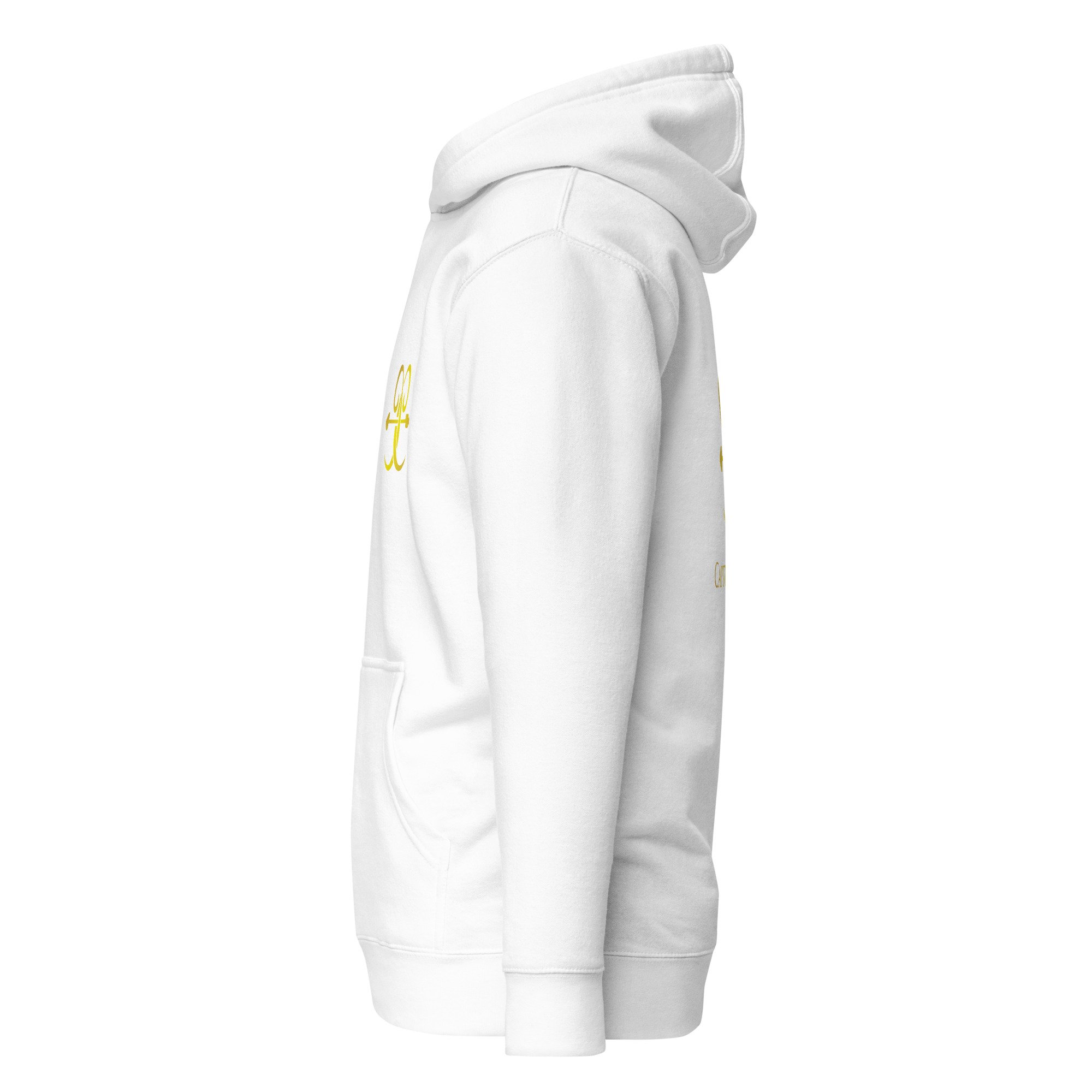 unisex-premium-pullover-hoodie-white-left-6a1d057f85520.jpg