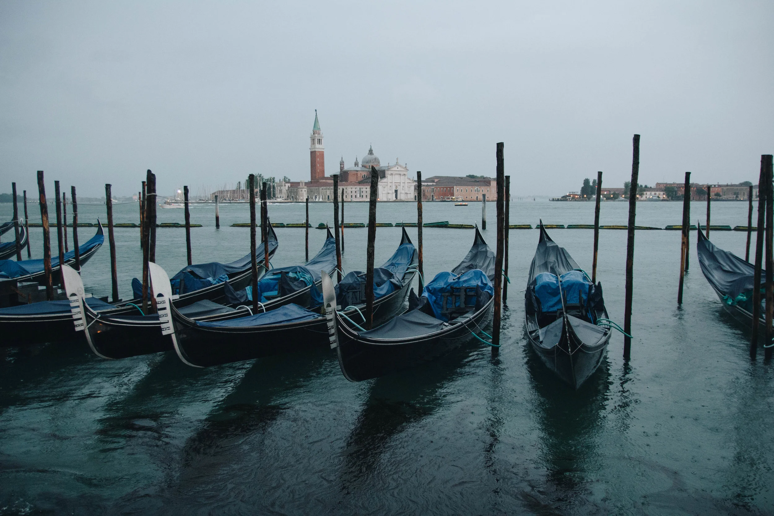 IMG_4699.jpg