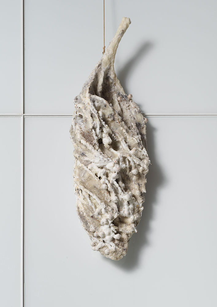 Gamete, 2018, Wax and organic material, 39 x 13 x 9 inches