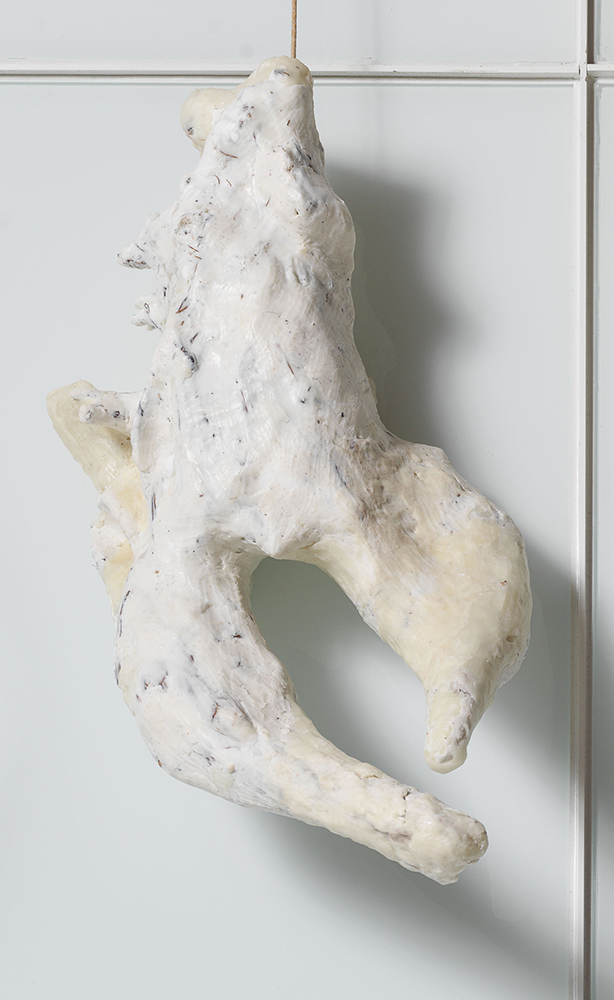 Femina, 2018, Wax and organic material, 26 x 18 x 8 inches