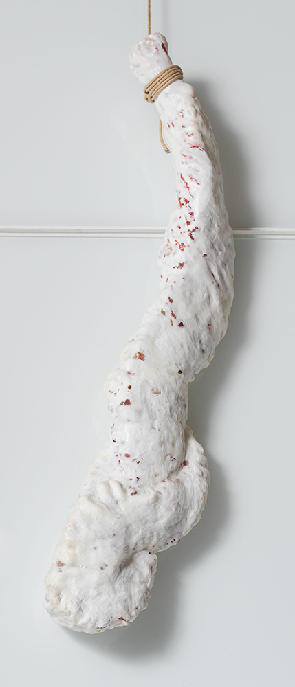 Hippocampus, (2018), Wax and organic material, 35 x 8 x 3.5 inches