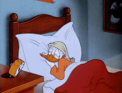 duck.gif