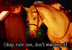horsey.gif