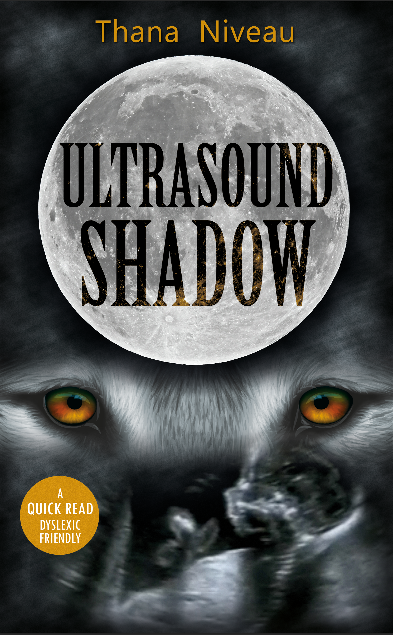 Ultrasound Shadow_B-Format_coverF_FRONT-2.png