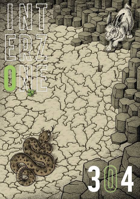 Runalong The Short Shelves - Interzone 304