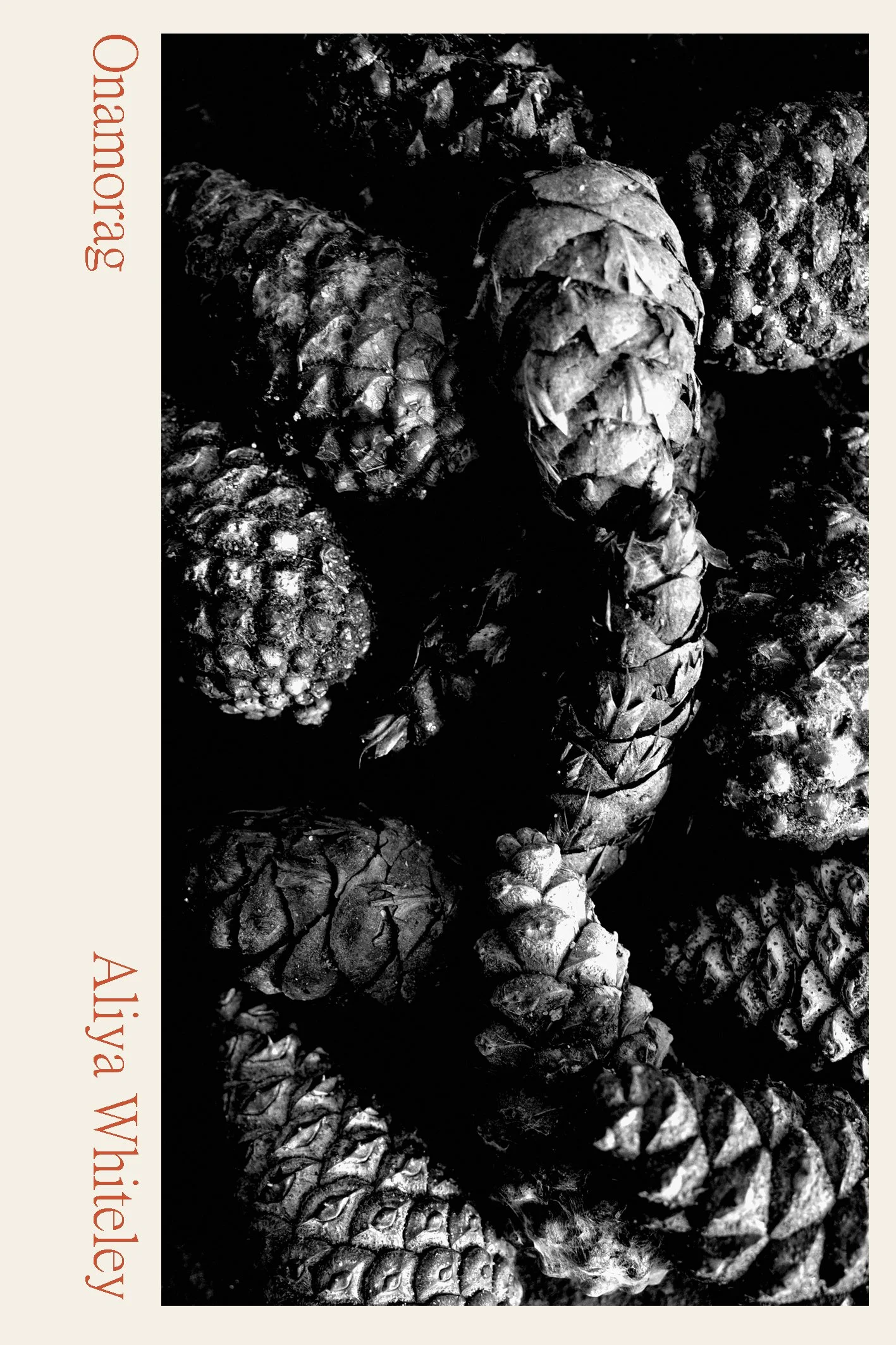 Runalong The Short Shelves - Salo Press’ Infidelities series
