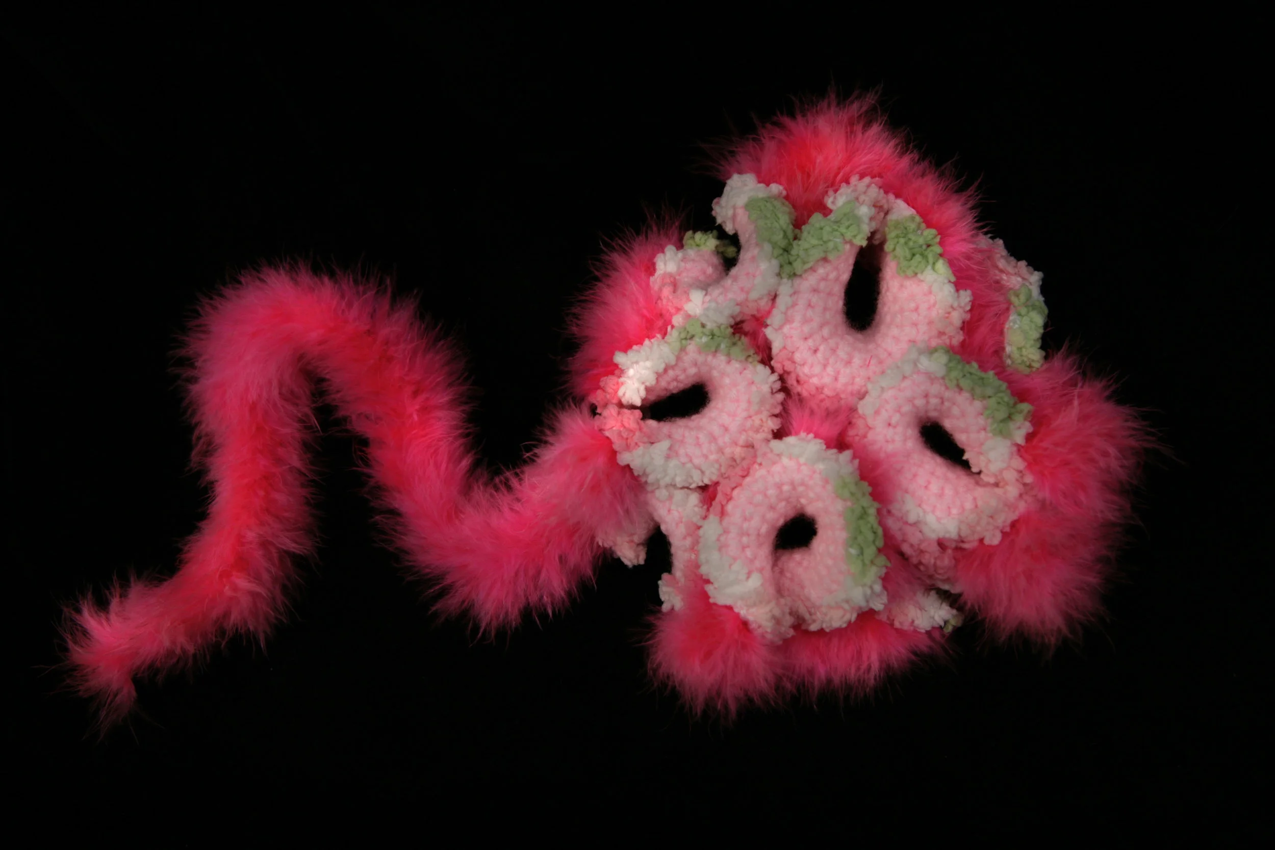 CORAL_07.jpg