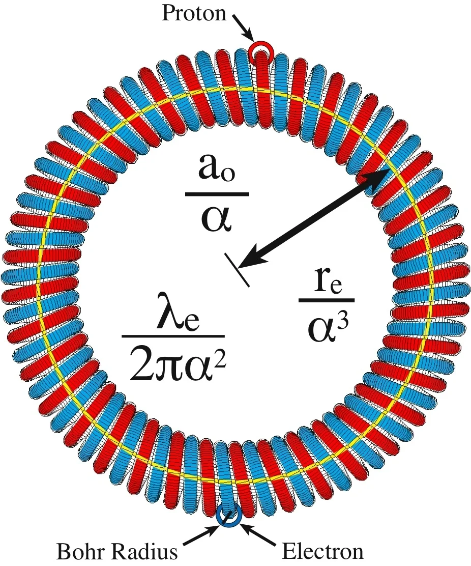 3COIL PHOtON red:blue copy.jpeg