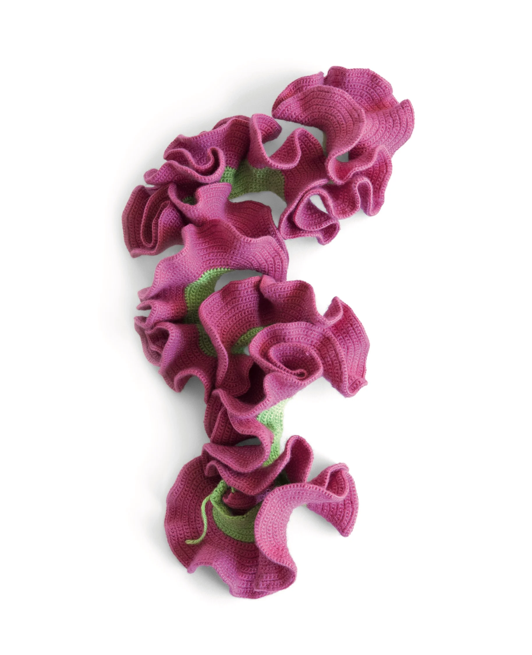 Crochet model of the hyperbolic plane made by Anitra Menning, based on the method of hyperbolic crochet discovered by Dr. Daina Taimina at Cornell University..