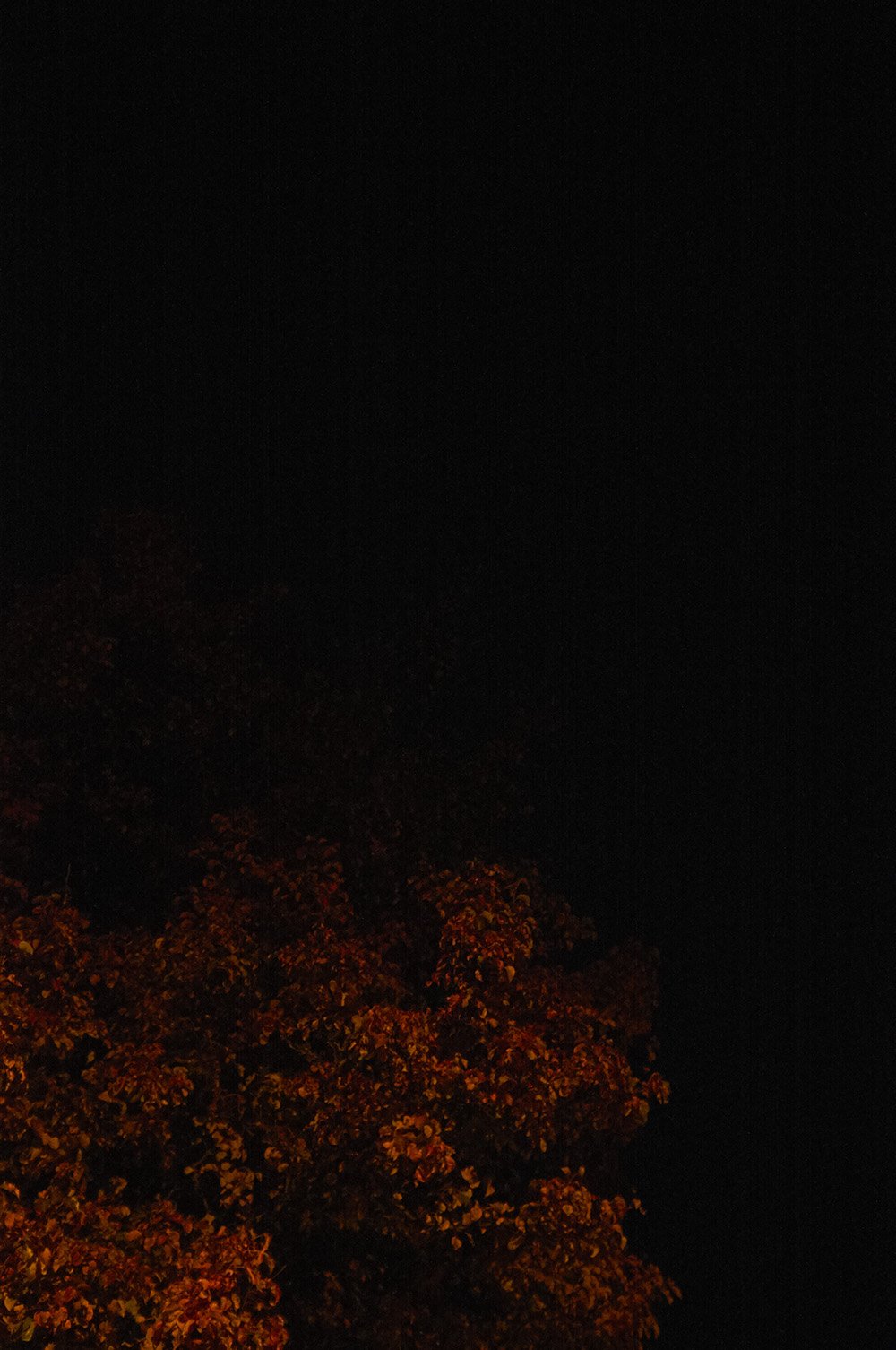 Capture_525.jpg