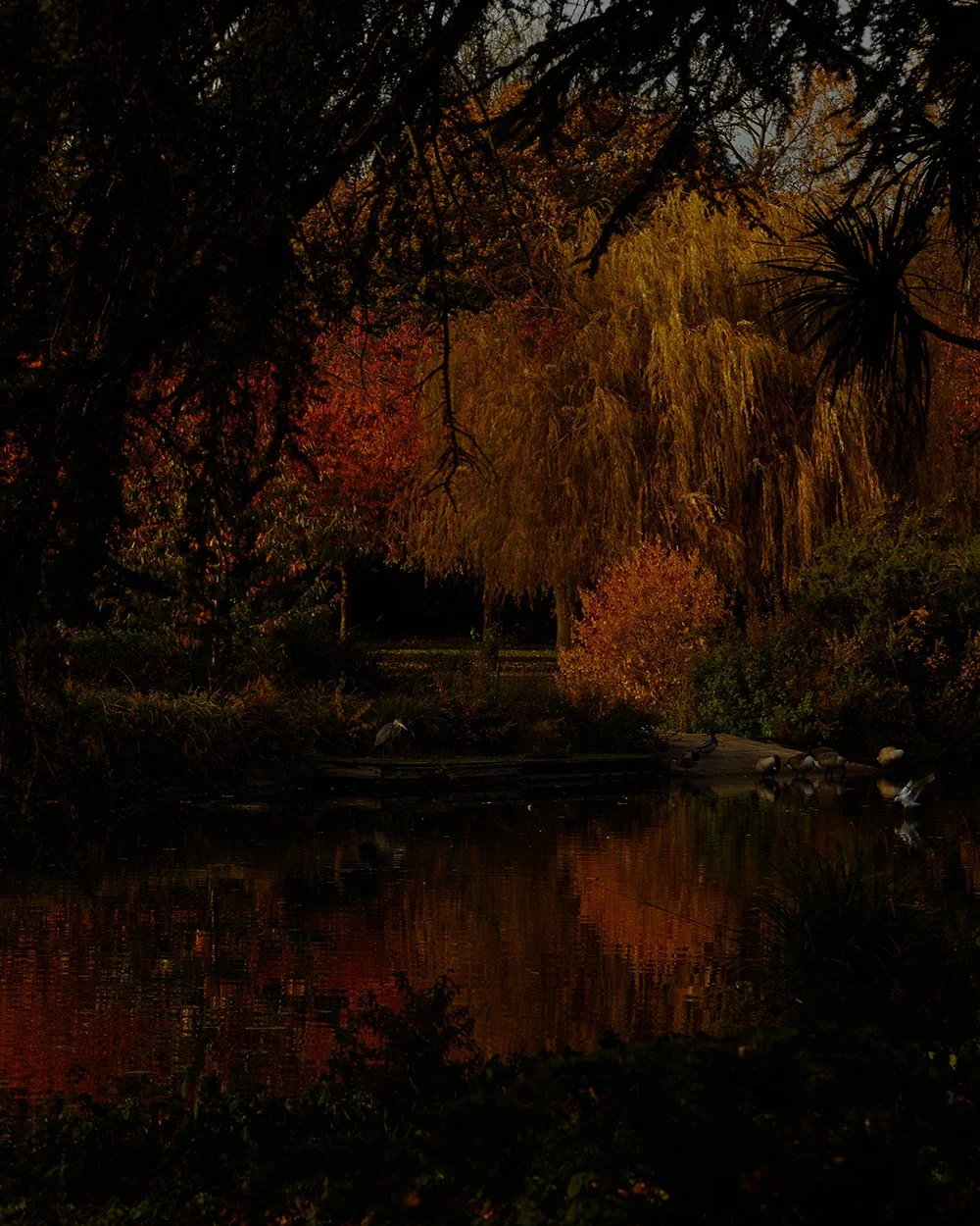 Capture_375.jpg