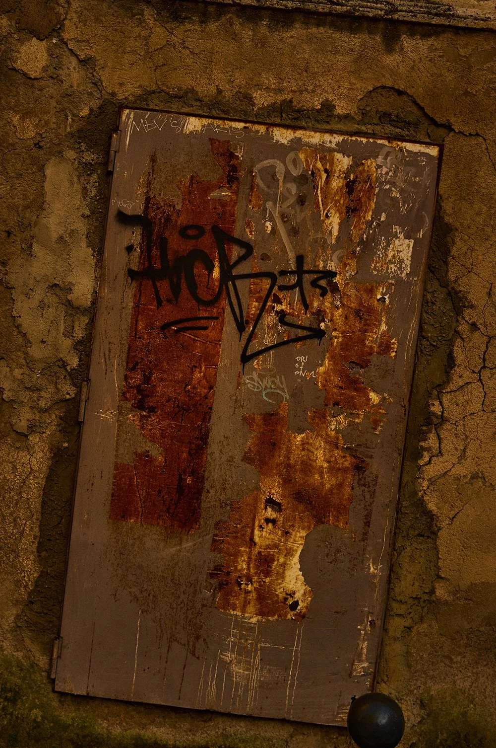 DSCF8603.jpg