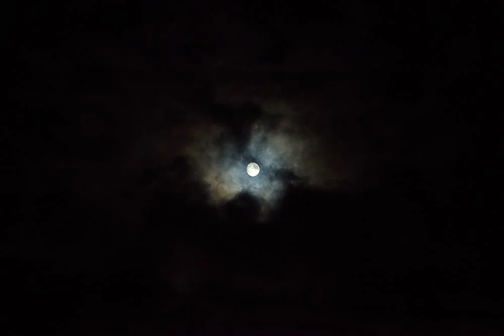 IMG_2952.jpg