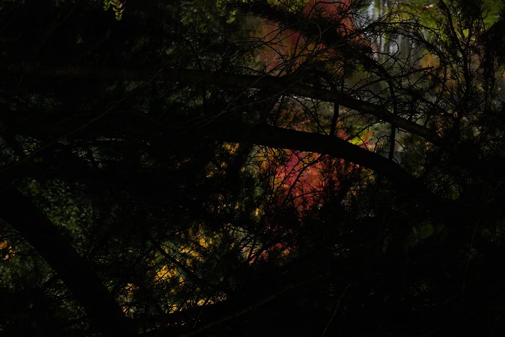 Capture_538.jpg
