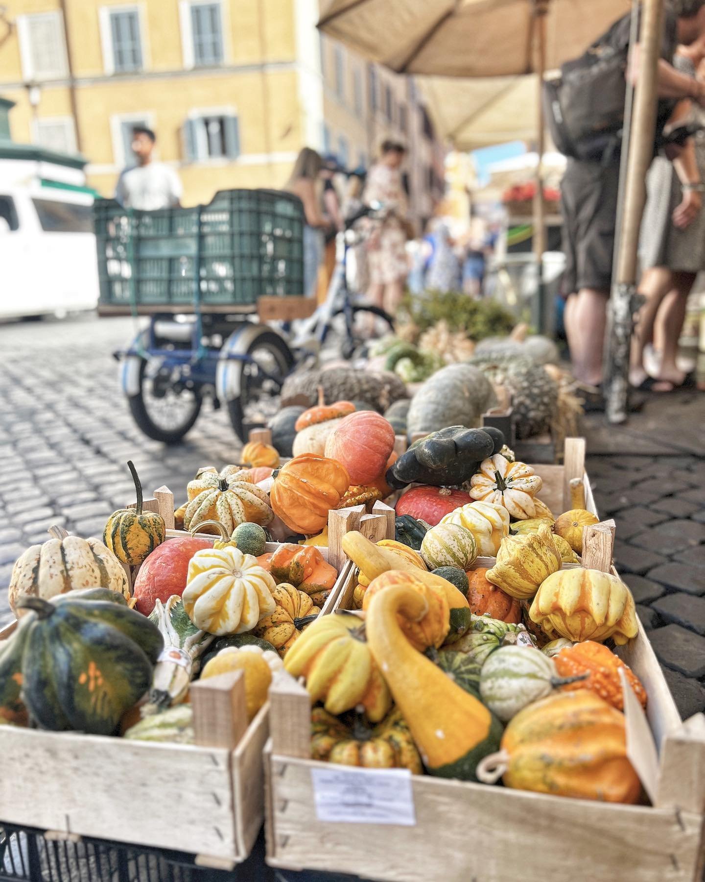 November&hellip; the only truly autumnal month in Rome. Do you agree?
🍁
September has always been full summer. And for the last few years, even October is short-sleeve weather nearly all the way through.
🍂 
Thank goodness for November, when we Roma