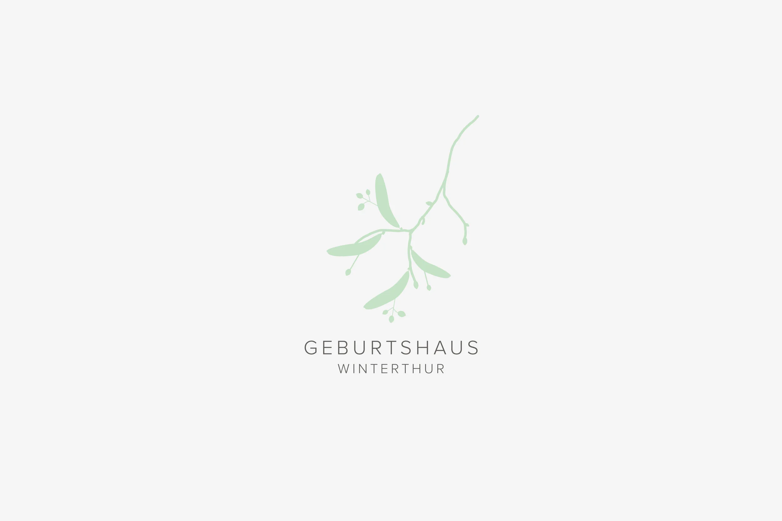 Geburtshaus Winterthur.jpg