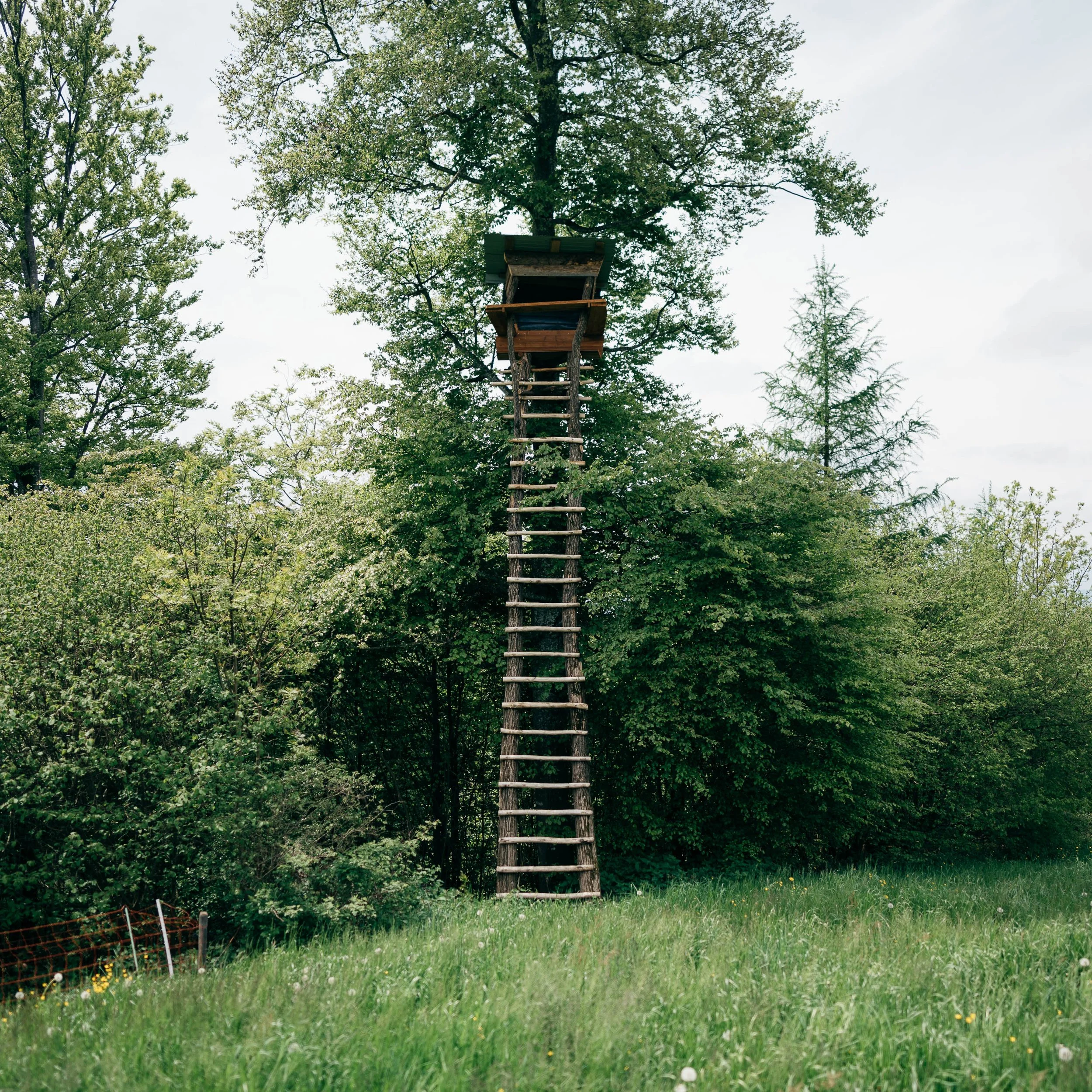Sihlwald-218.jpg