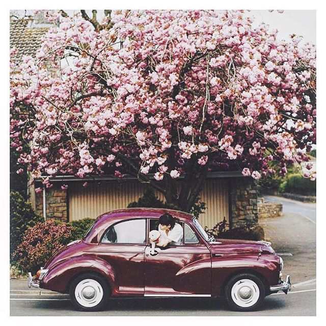 Colour block
.
.
.
.
.
#millionmiles #newmusic #flowers #colours #summer #cars #purple #pink #wall #picoftheday #bestoftheday #inspiration #road #roadtrip #magichour #sunshine #summertime