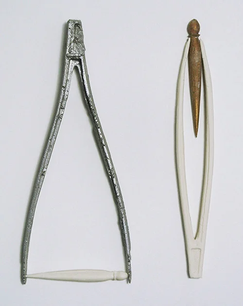 Suzanne O'Haire - milk and wisdom 13, 2010.jpg