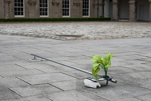 8 plant rail copy 500.jpg