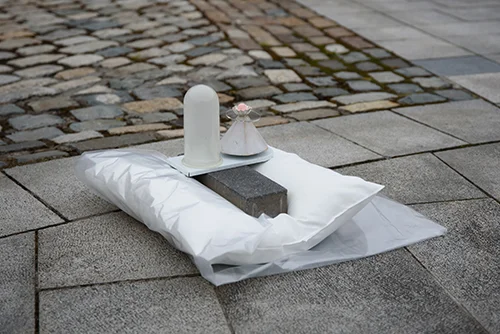 11 pillow copy 500.jpg