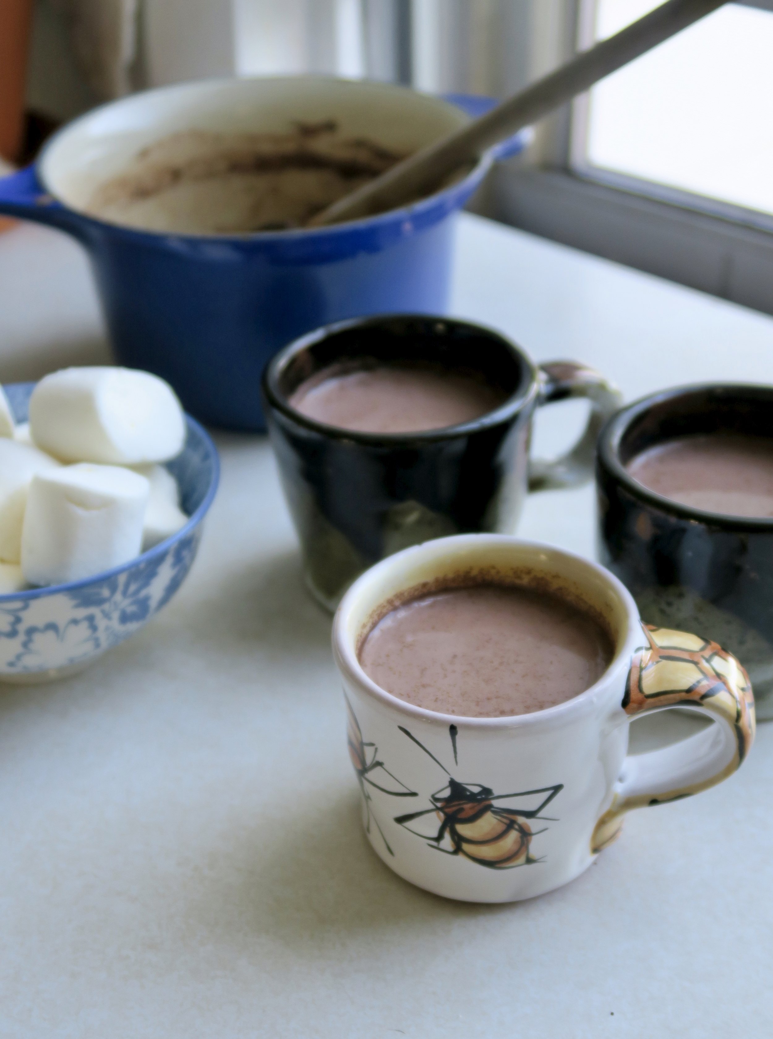 Hot Chocolate for the Kiddos (and anyone else)