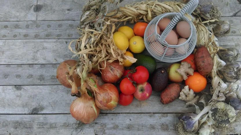 pic no 3 like this one.jpe