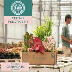 Neighborhood Notes: April 2025