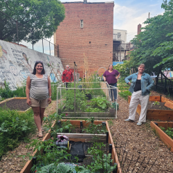 I Wonder Garden Update Summer 2026