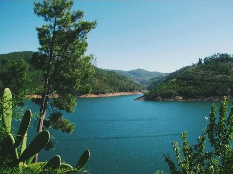 CASTELO DE BODE 
 ( 5 000.000€ )


Castelo de Bode is one of the most striking natural settings in central Portugal, known for its calm waters and the lush green landscape surrounding the Zêzere River. The reservoir offers a peaceful retreat for thos