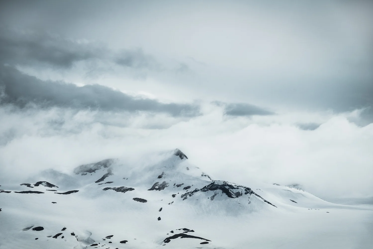 _DSC6596-1.jpg