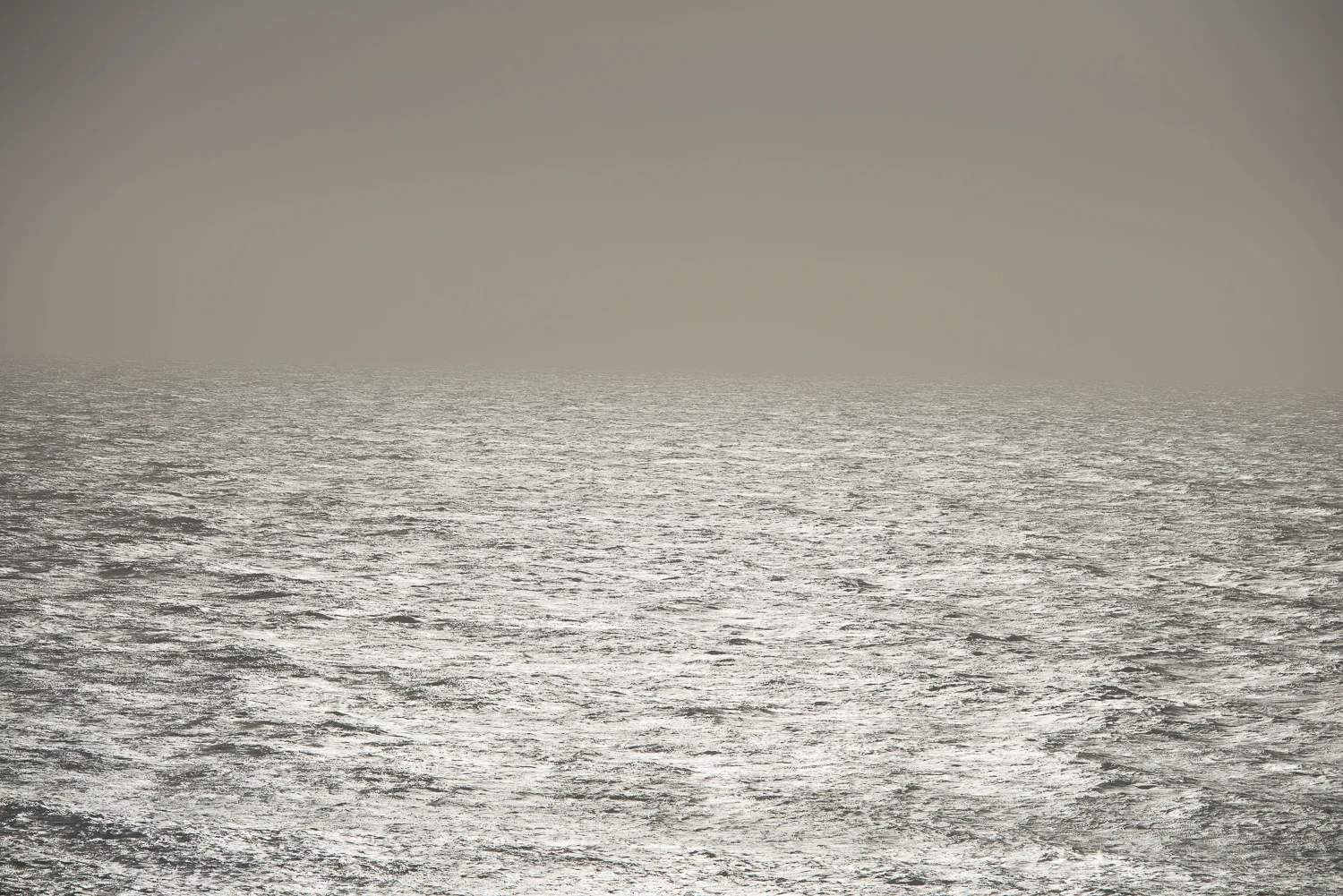 _DSC8147.jpg