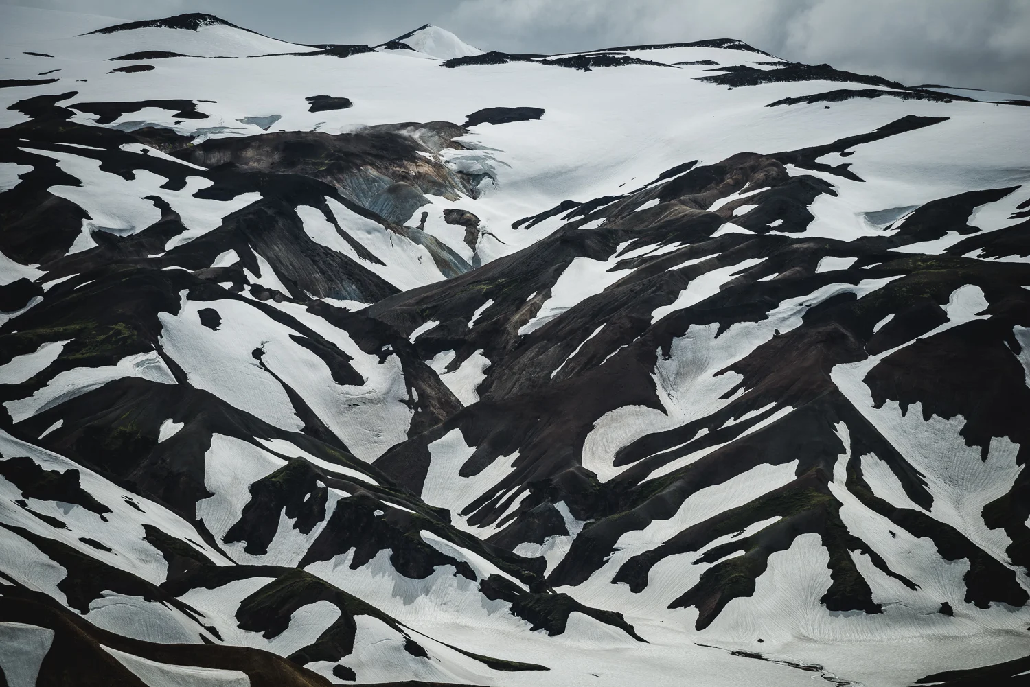 _DSC6585.jpg