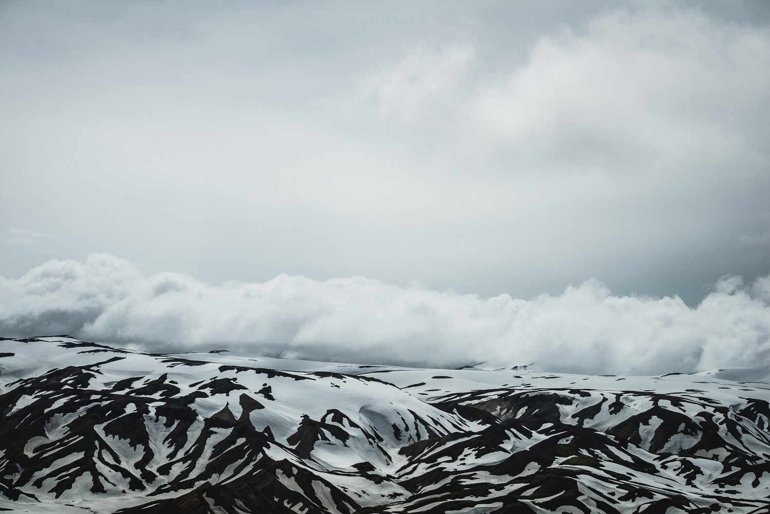 _DSC6591web.jpg