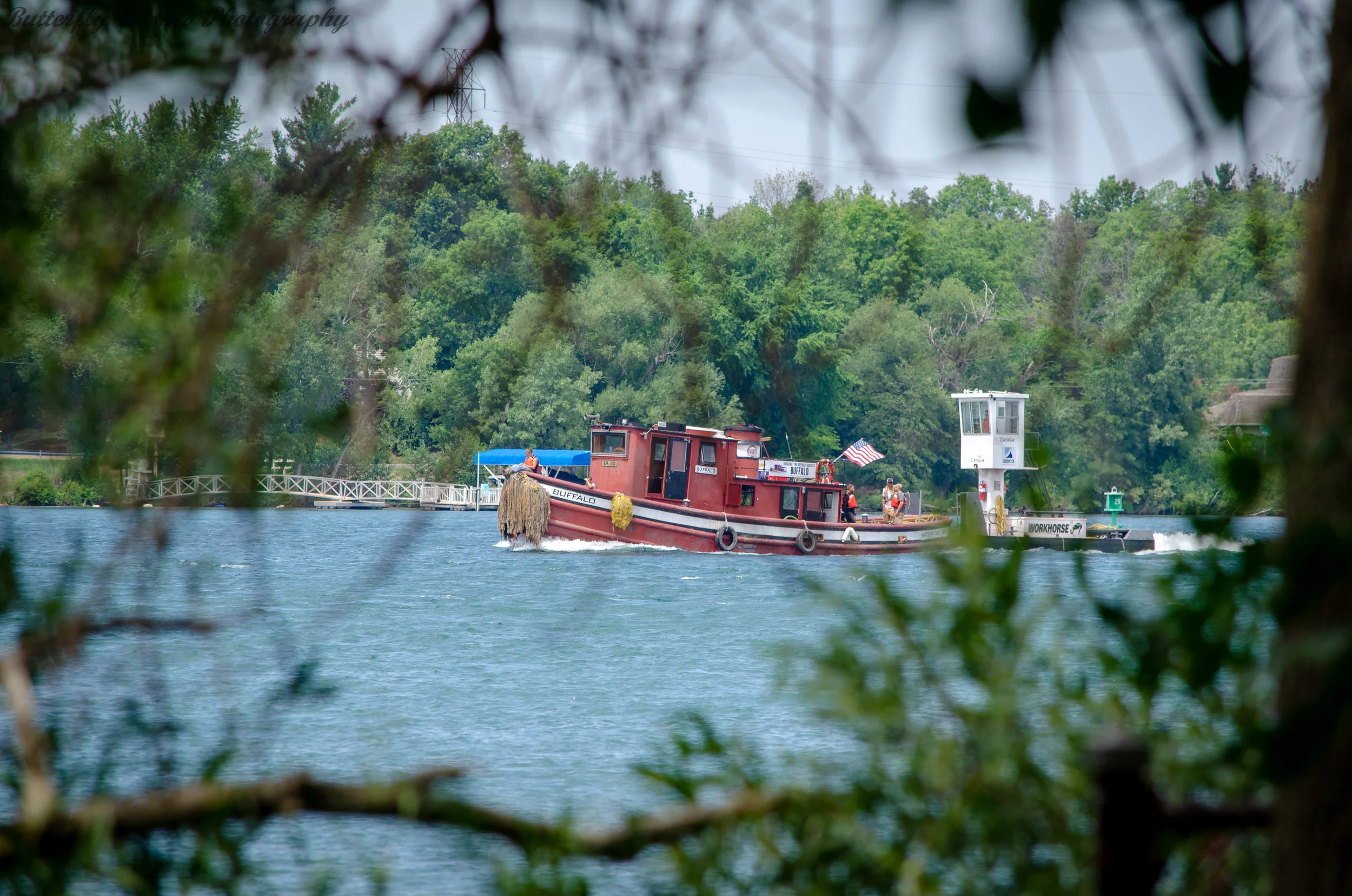 DSC_2718.jpg