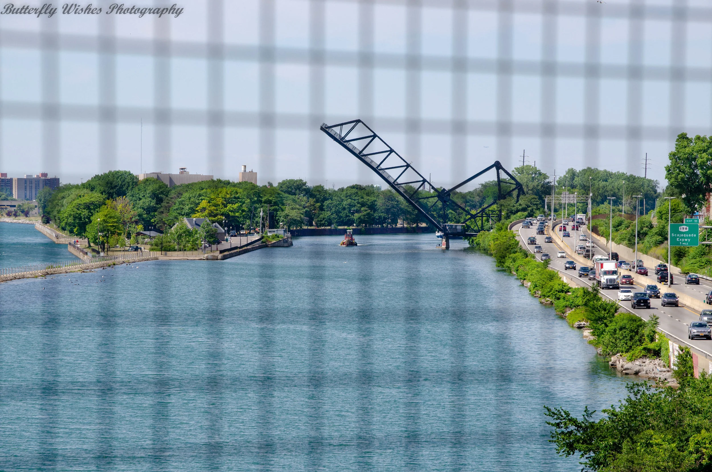 DSC_2736.jpg