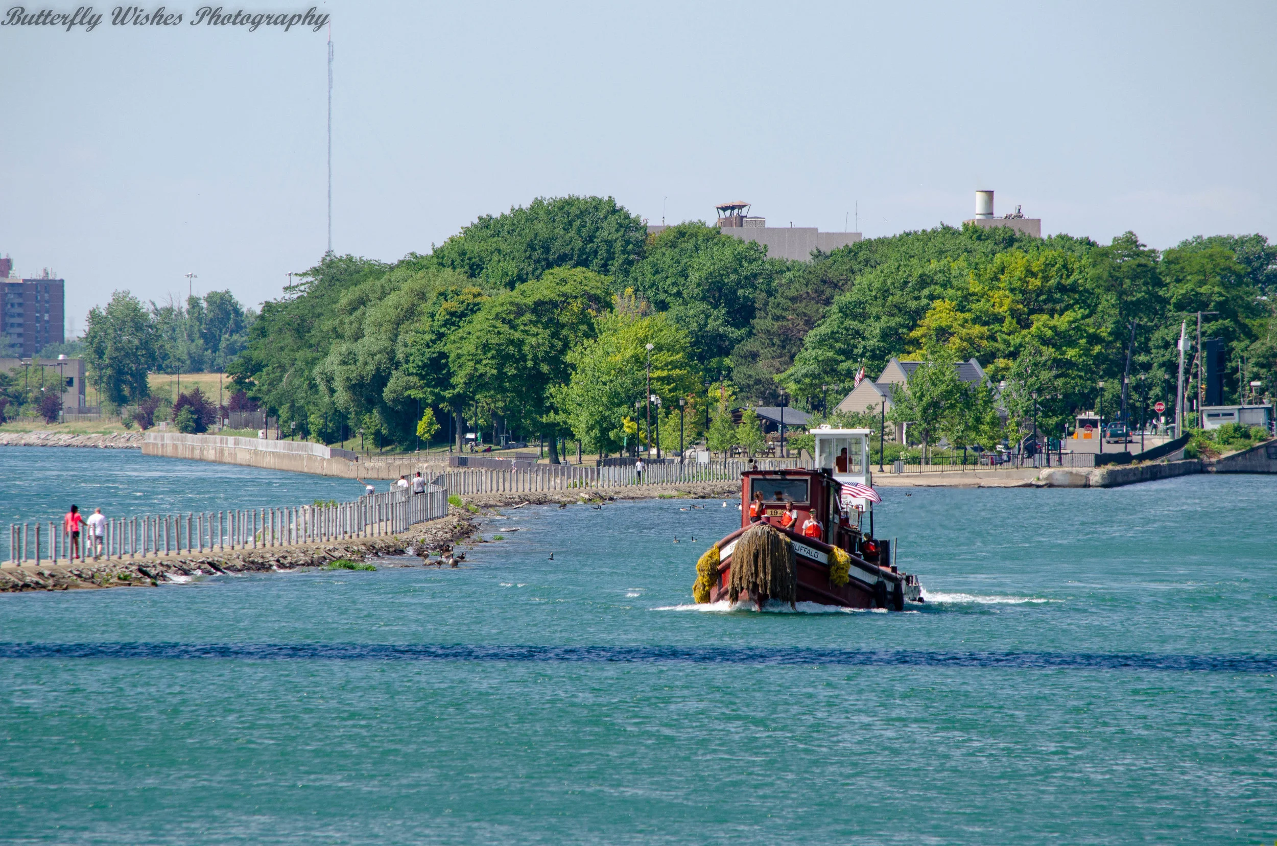 DSC_2745.jpg