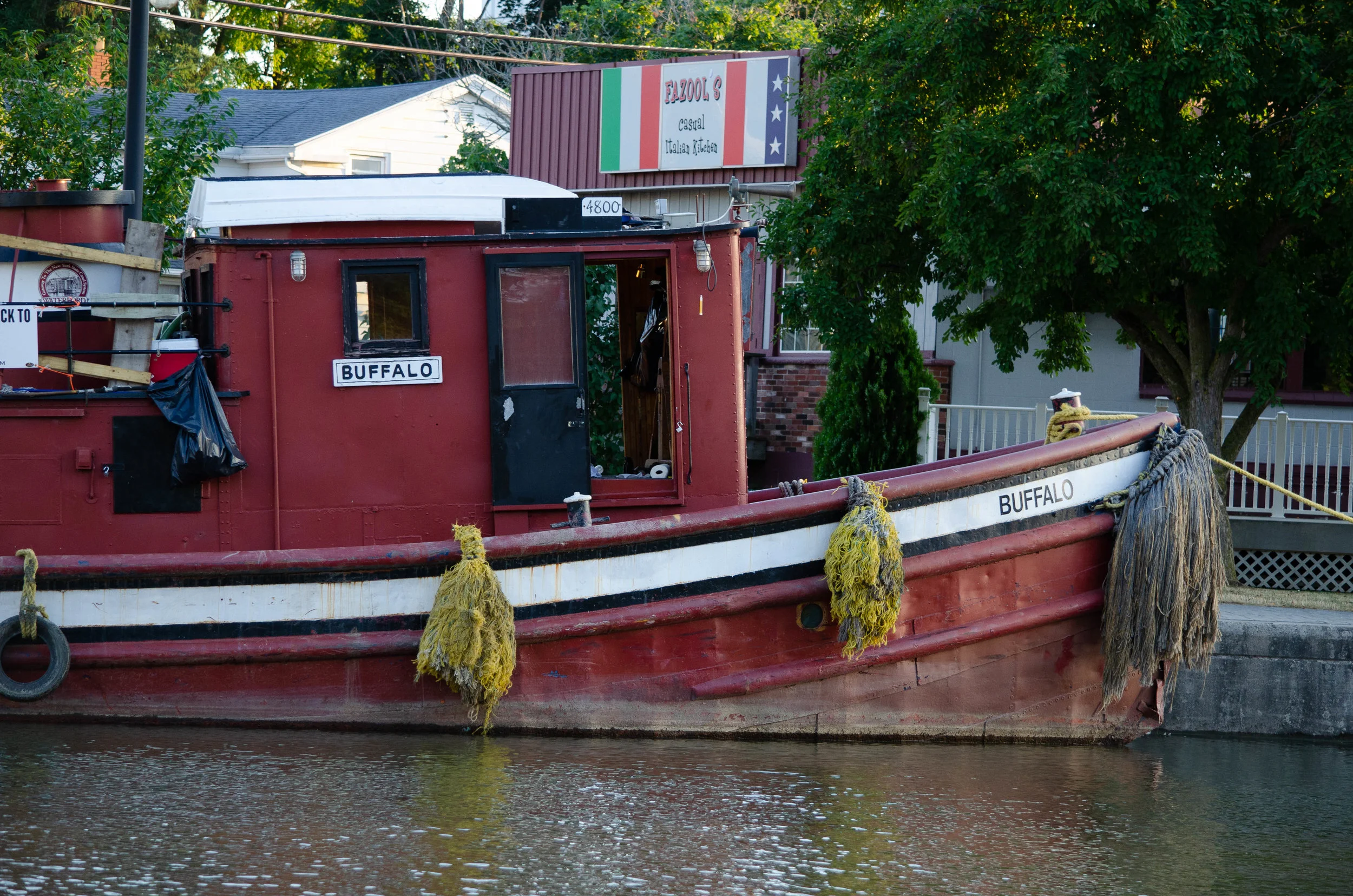 DSC_2465.jpg