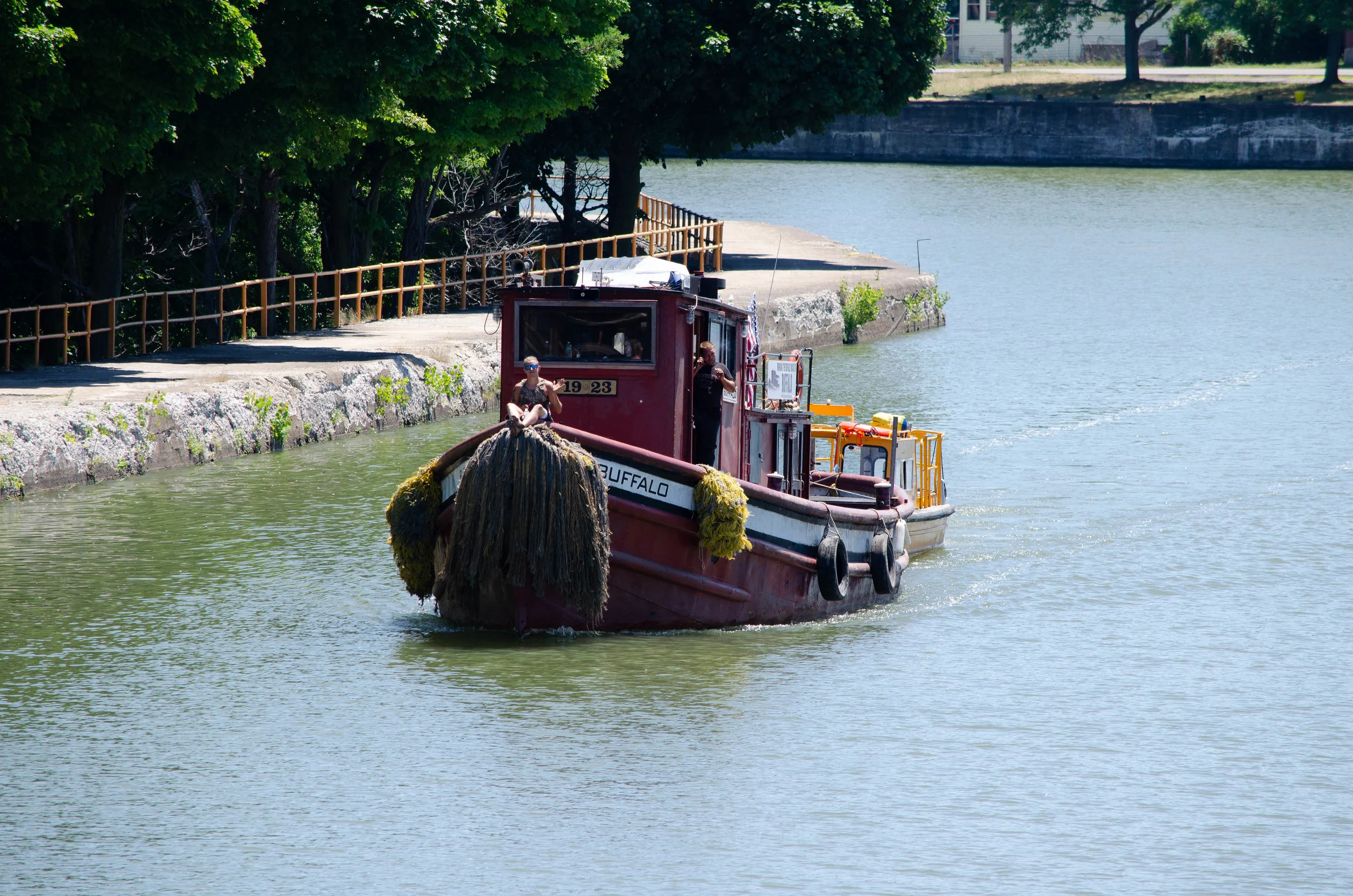 DSC_2547.jpg