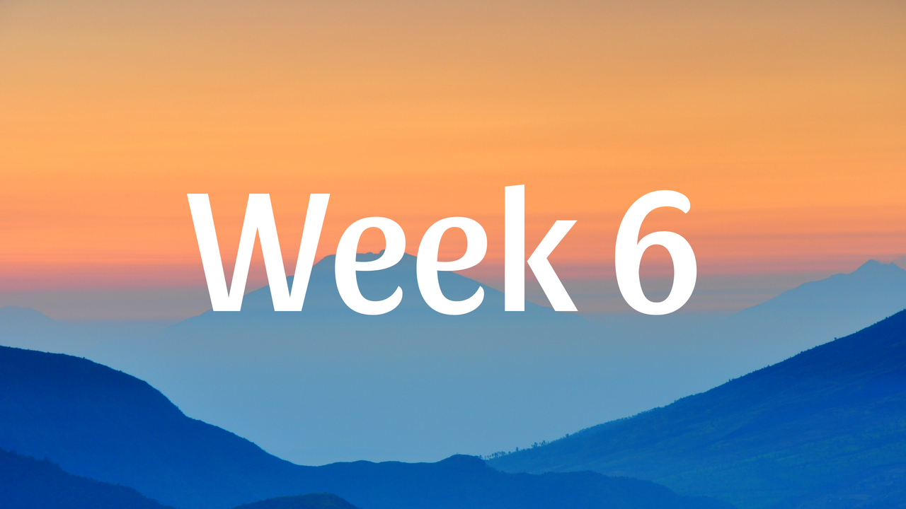 WK6.png