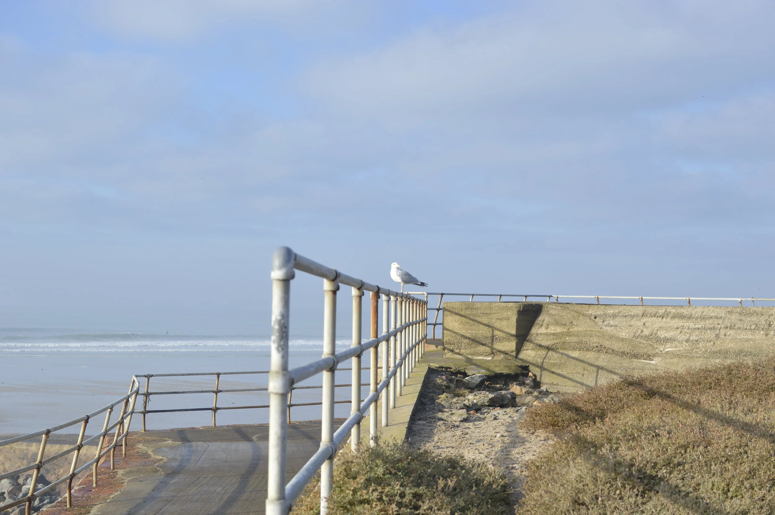 Jersey, Channel Islands - December 2016 - Sophie Bradley