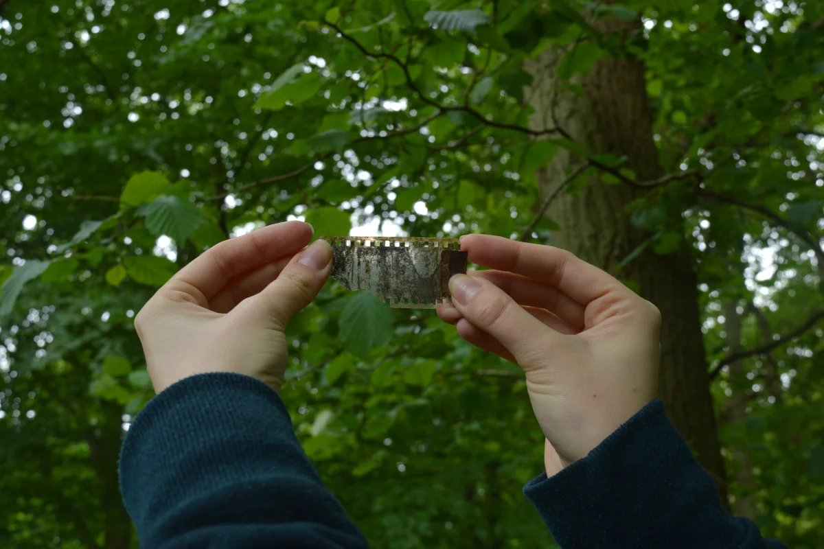 Discarded camera film found in local woodlands