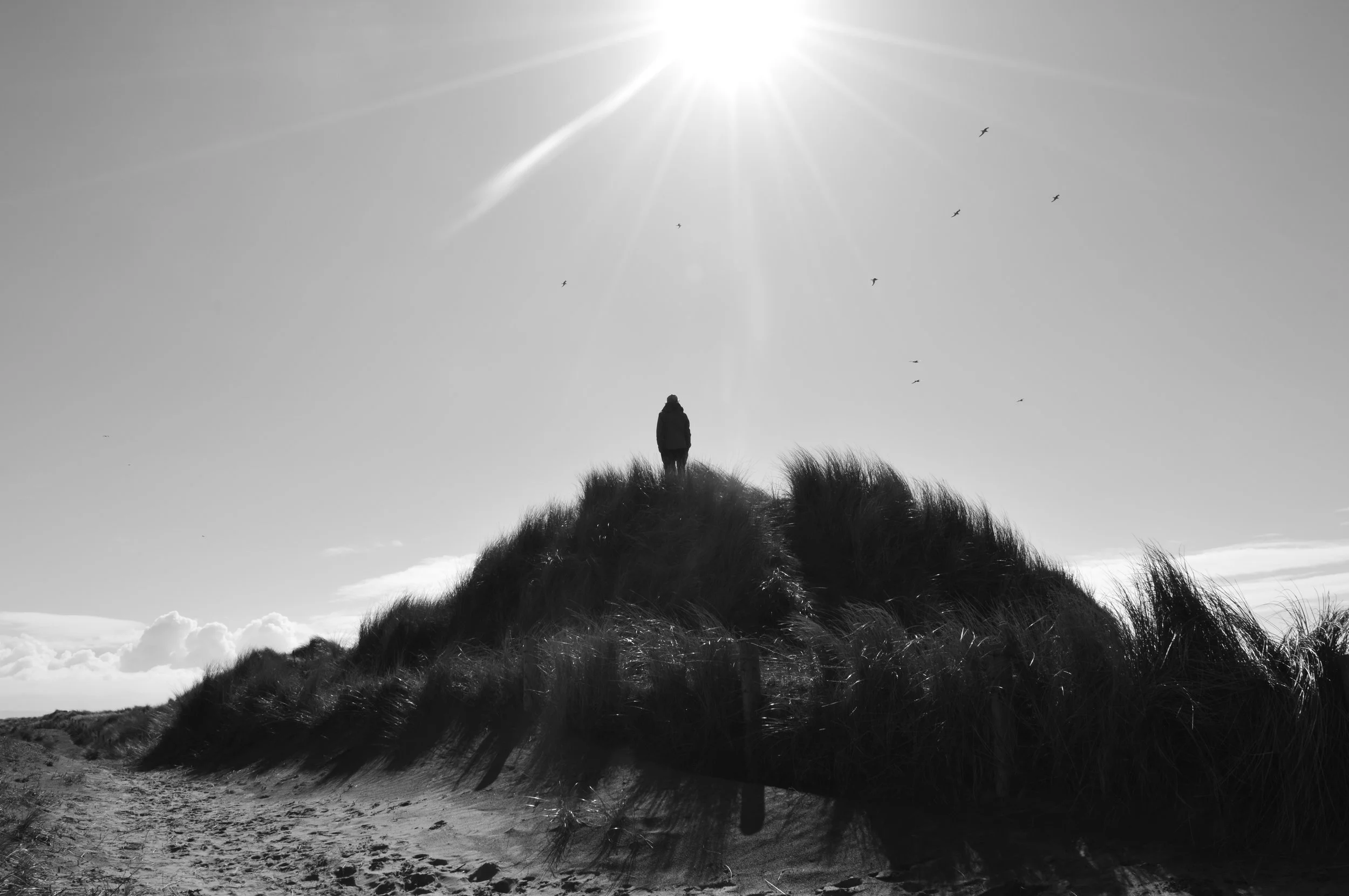 Thinking about Umbrico with a sun photo. North Devon April-2017 