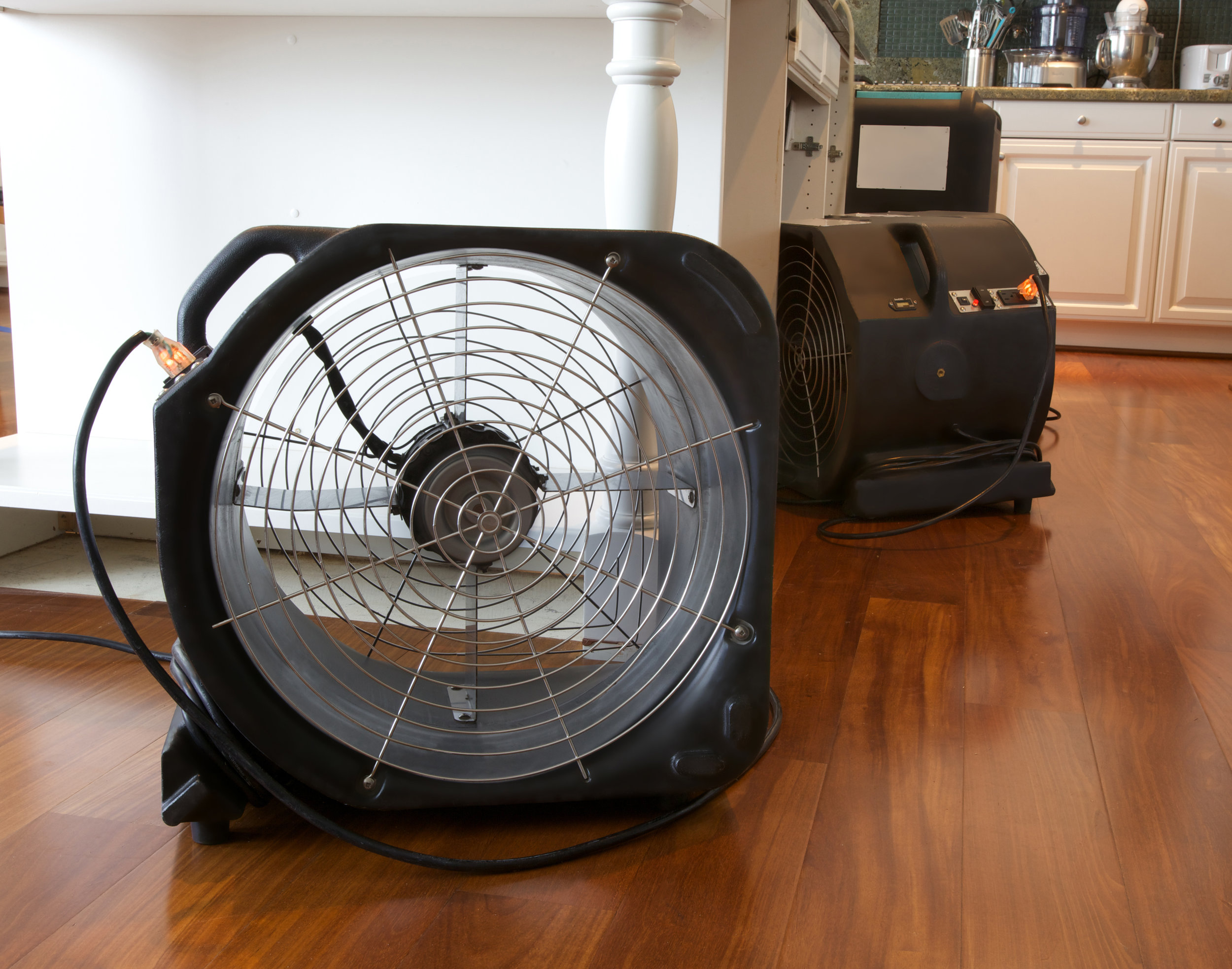 Domesticall360 Disaster Restoration