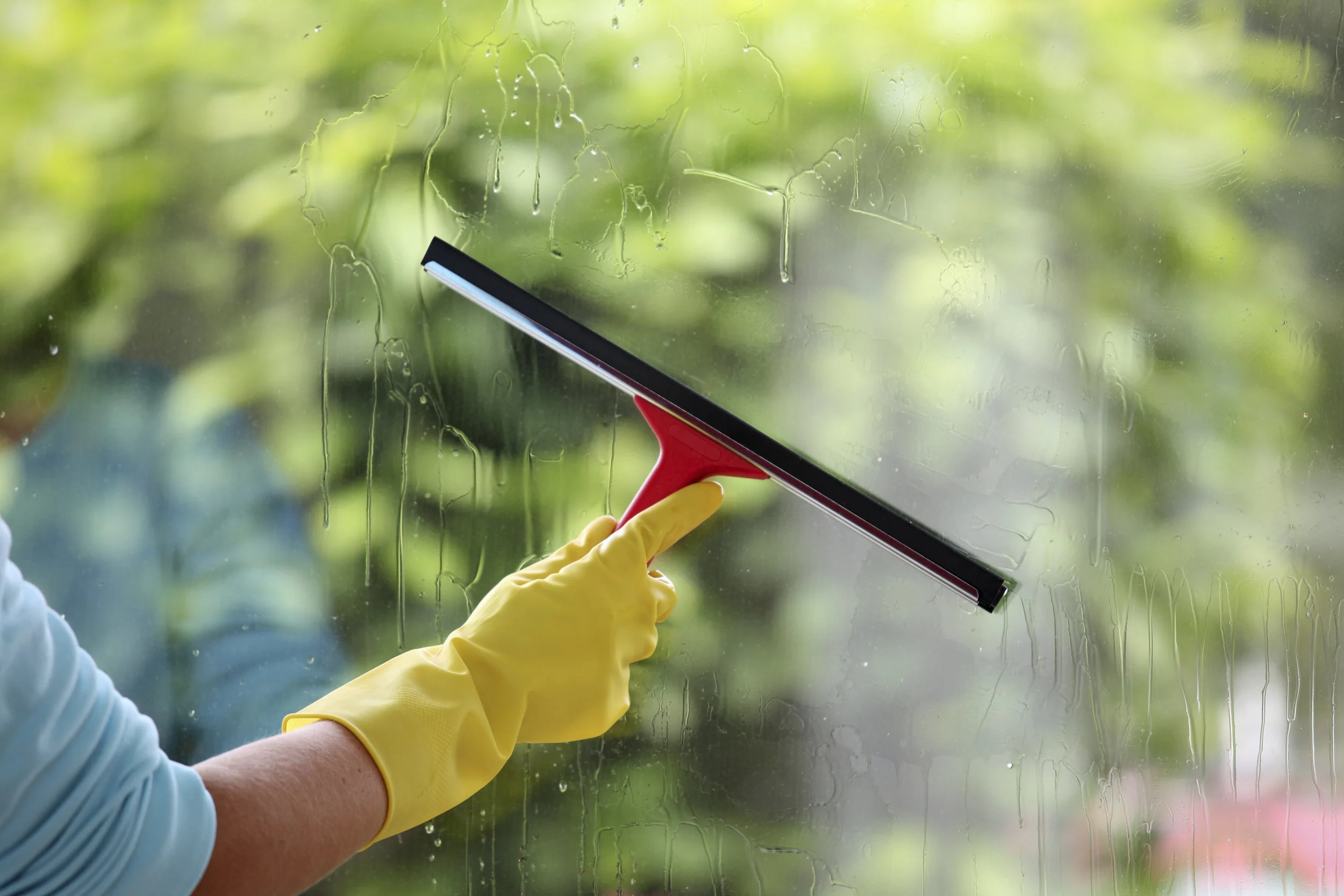 Domesticall360 Window Cleaning