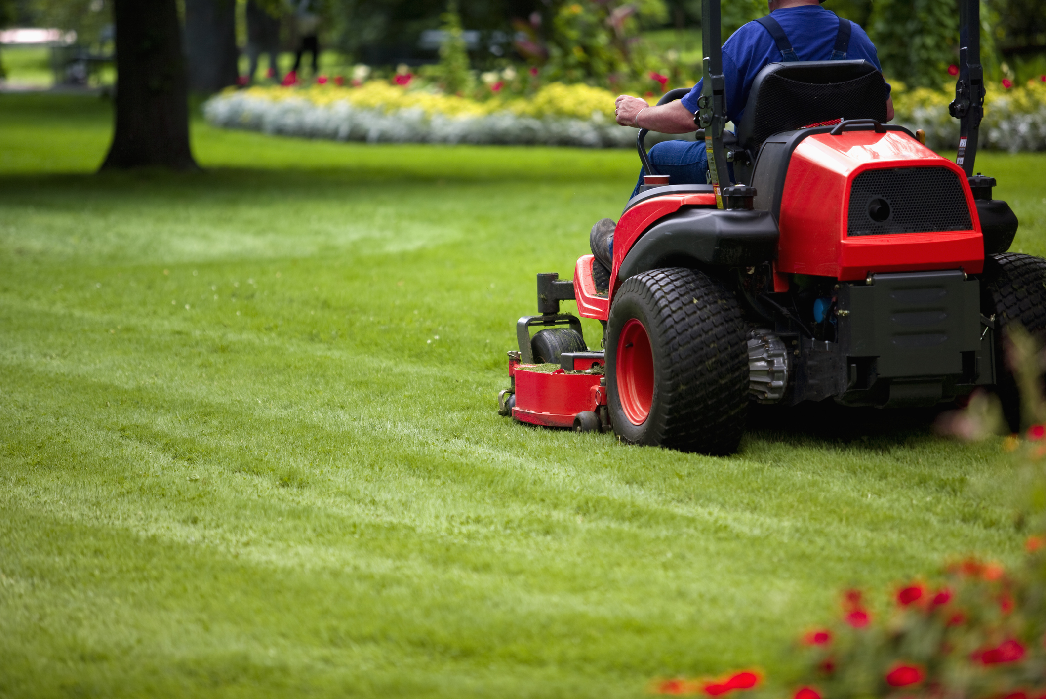 Domesticall360 Mowing