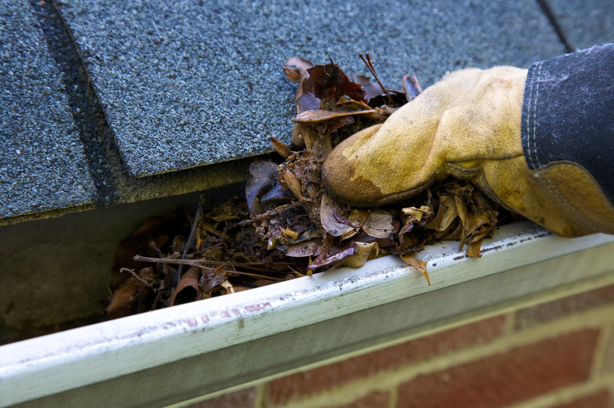 Domesticall360 Gutter Cleaning