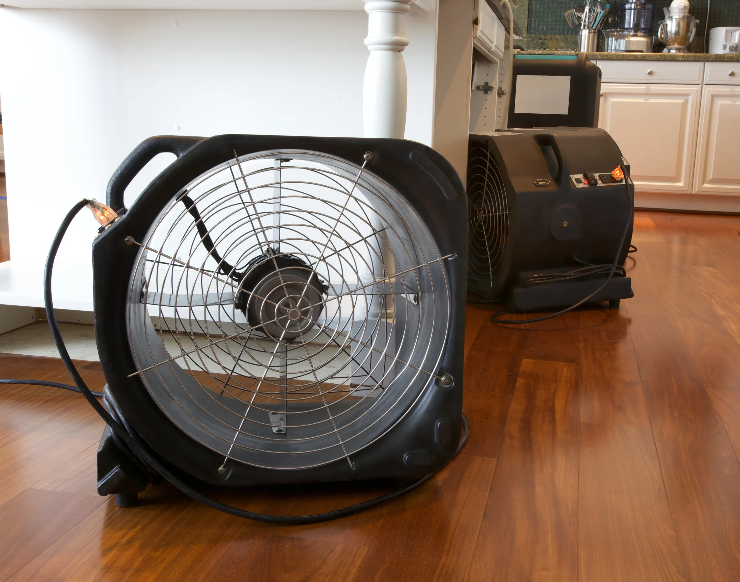 Fan.jpg