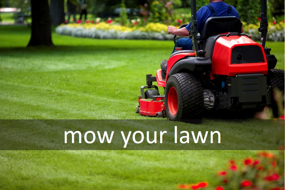Mow your lawn