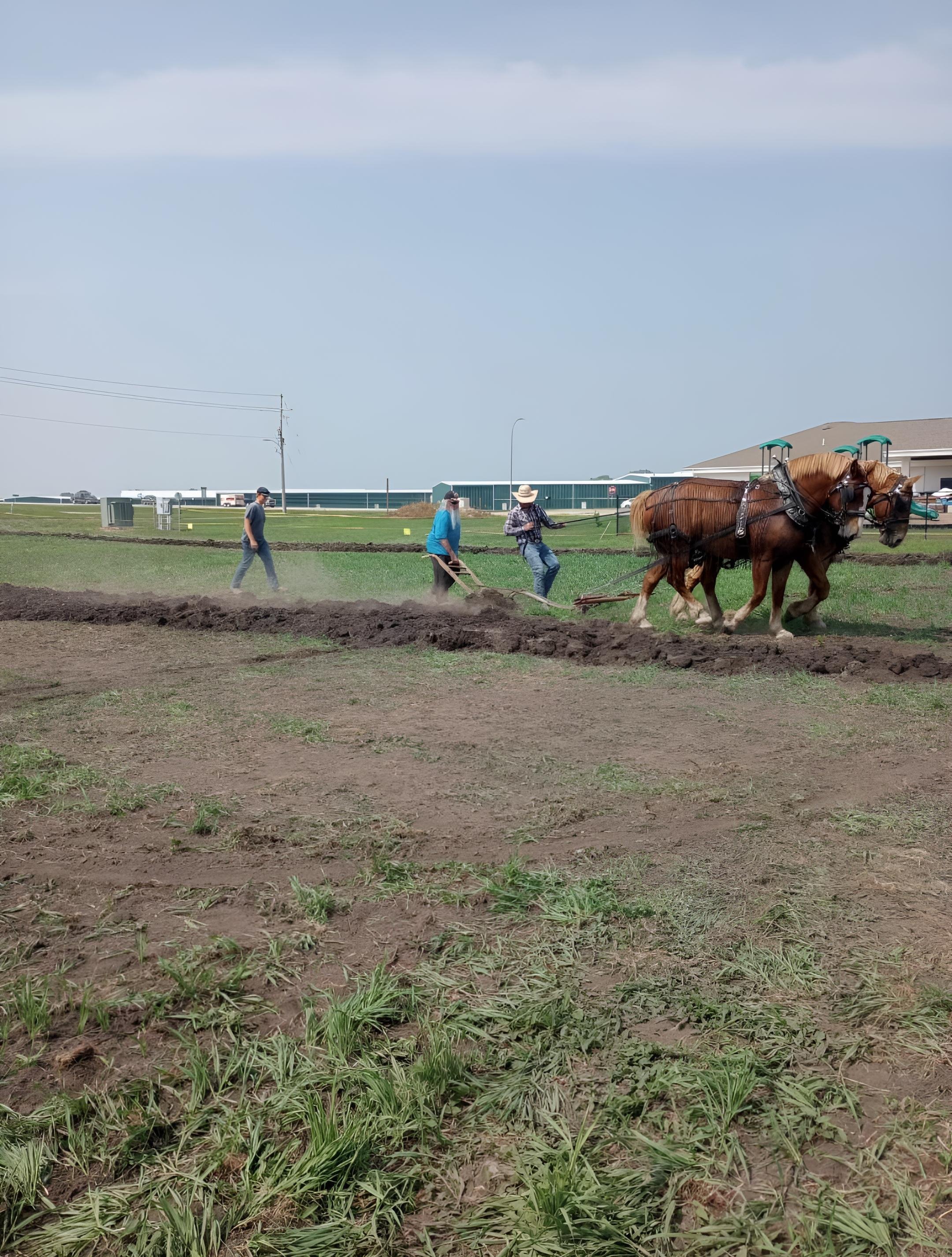 Plowing Match 1.jpg